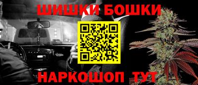 тгк Бийск