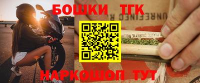 тгк Бийск