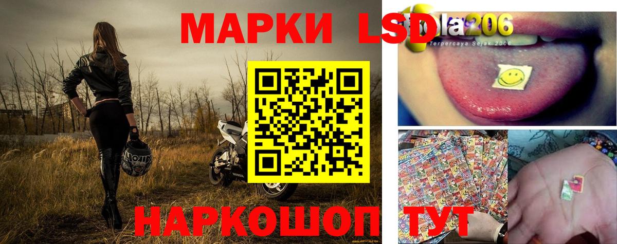 Наркотические марки 1,5мг  Наркотические марки 1,5мг  Грозный  Вход с VPN 