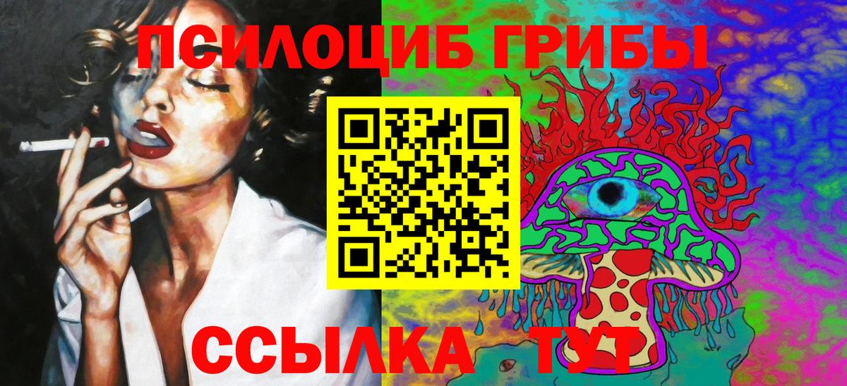 Галлюциногенные грибы Psilocybine cubensis Грозный